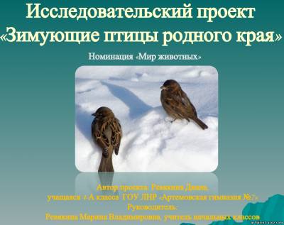 Зимующие птицы родного края